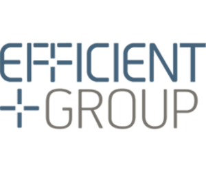 Efficient Group Limited